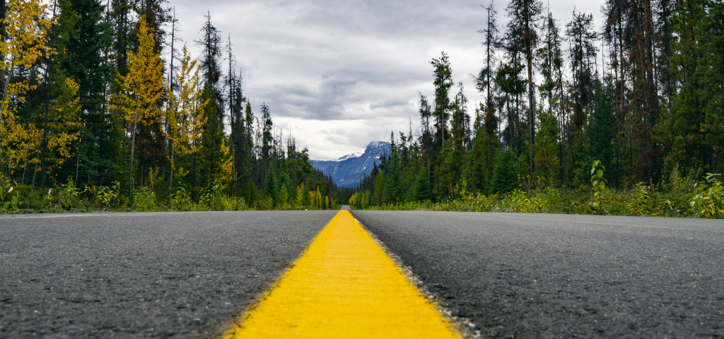 persepective shot of road leading through the forest to the mountains. In foreground, the yellow center line is very large, but the road stretches all the way to the horizon and the line tapers to a needle thin point.