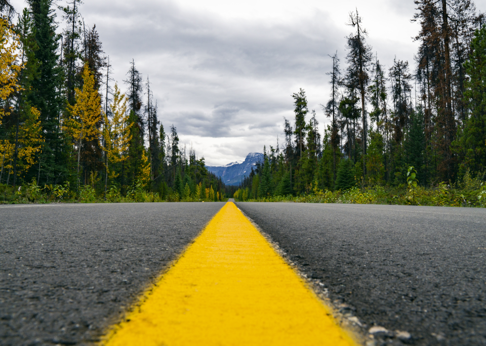 persepective shot of road leading through the forest to the mountains. In foreground, the yellow center line is very large, but the road stretches all the way to the horizon and the line tapers to a needle thin point.