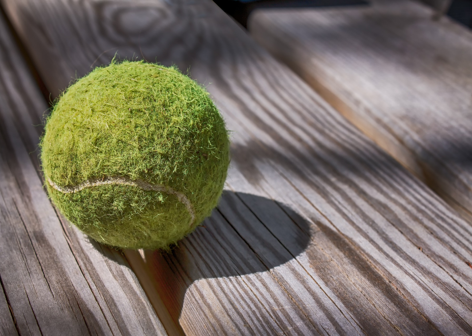 Forgotten tennis ball sitting on a wood deck