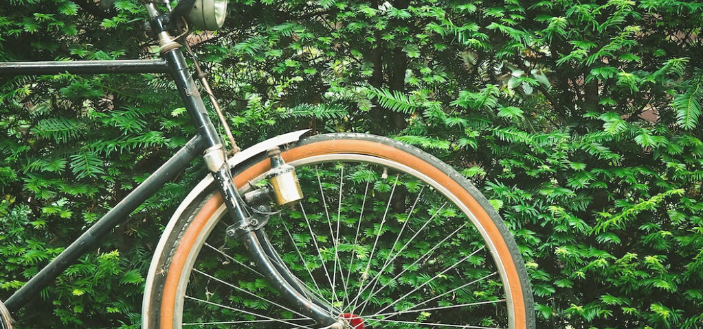 Spokes on a bike wheel in front of a green bush