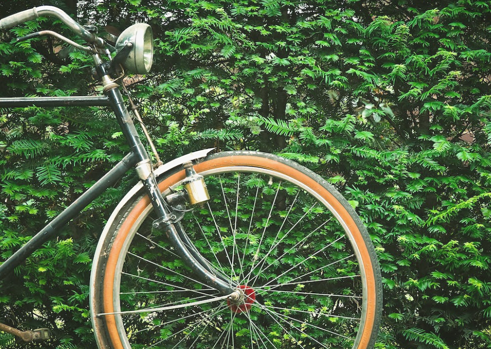 Spokes on a bike wheel in front of a green bush