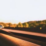 Looking out the backseat window of a moving car